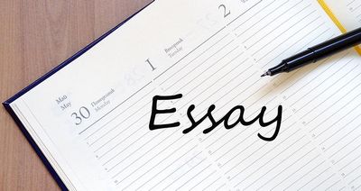  Inside 24 Hrs Essay Pitfall  an essay, you